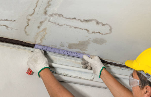 Reliable Structural Drying contractor in Wolfforth, TX by Water Damage Irwin